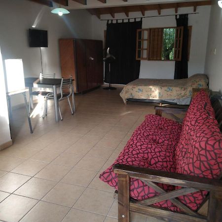 Apartament Monoambiente Cabernet Ubicacion Excelente Mendoza Zewnętrze zdjęcie